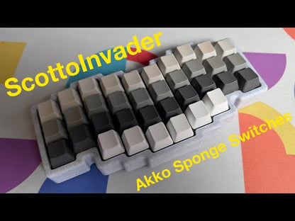ScottoInvader Keyboard Case